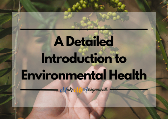 A-Detailed-Introduction-to-Environmental-Health